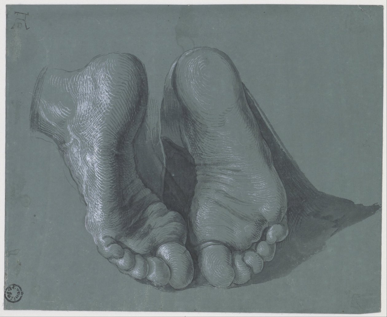 Studie dvou nohou od Albrecht Dürer