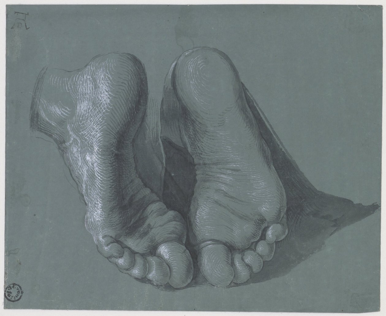 Studie dvou nohou, c.1508 od Albrecht Dürer