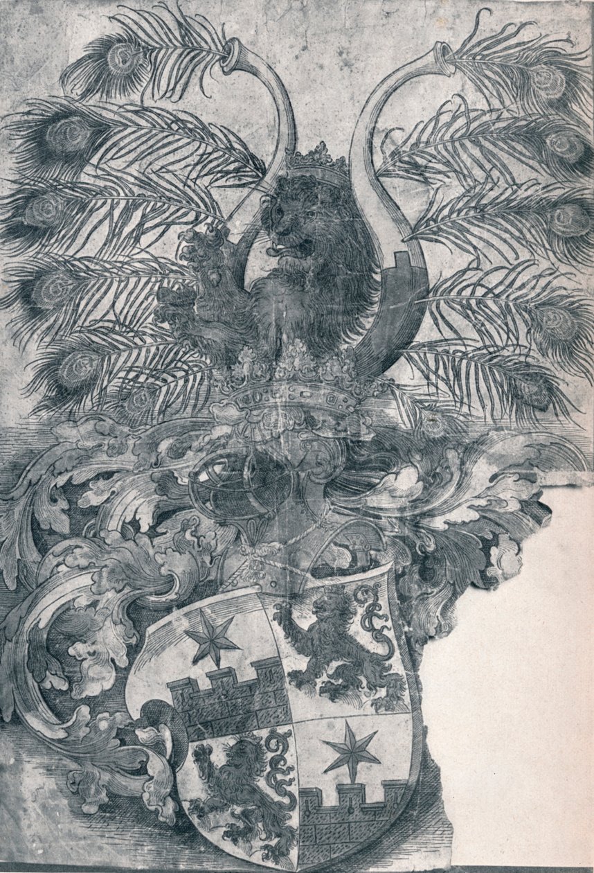 Erb Wilhelma a Wolfganga Roggendorffových, 1520 1906 od Albrecht Dürer