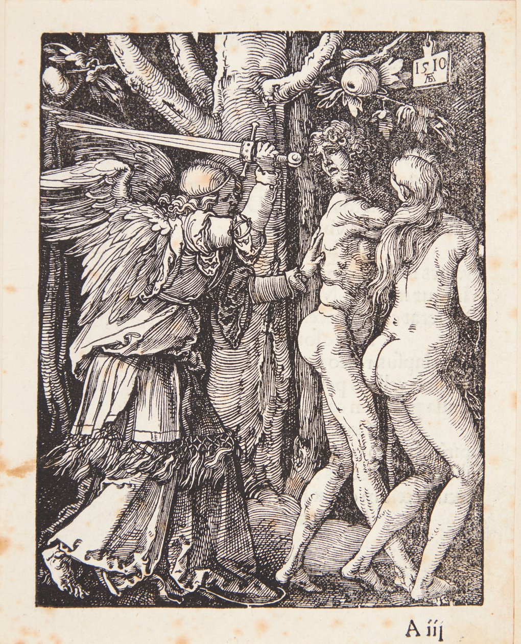 Vyhnání z ráje od Albrecht Dürer