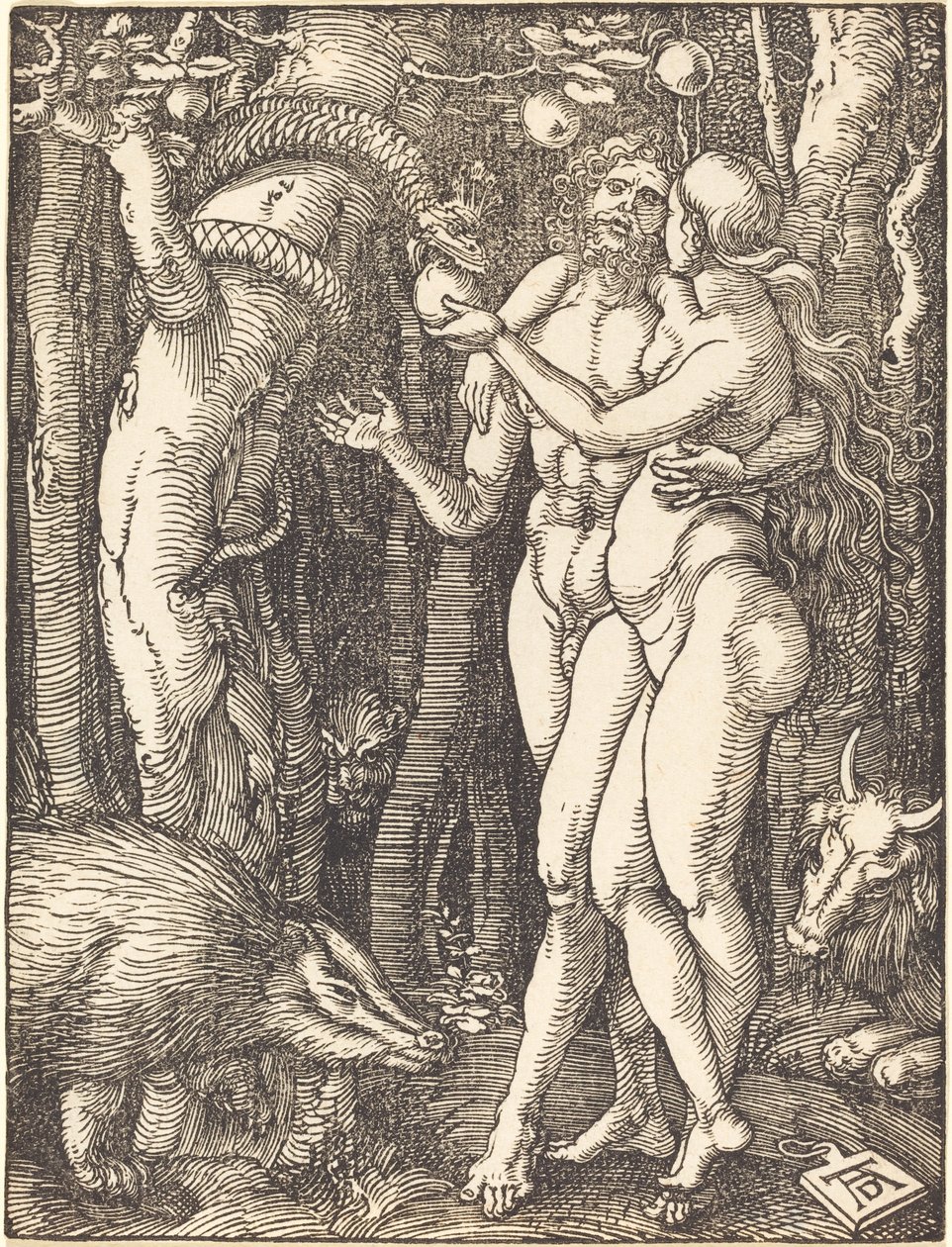 Pád člověka od Albrecht Dürer