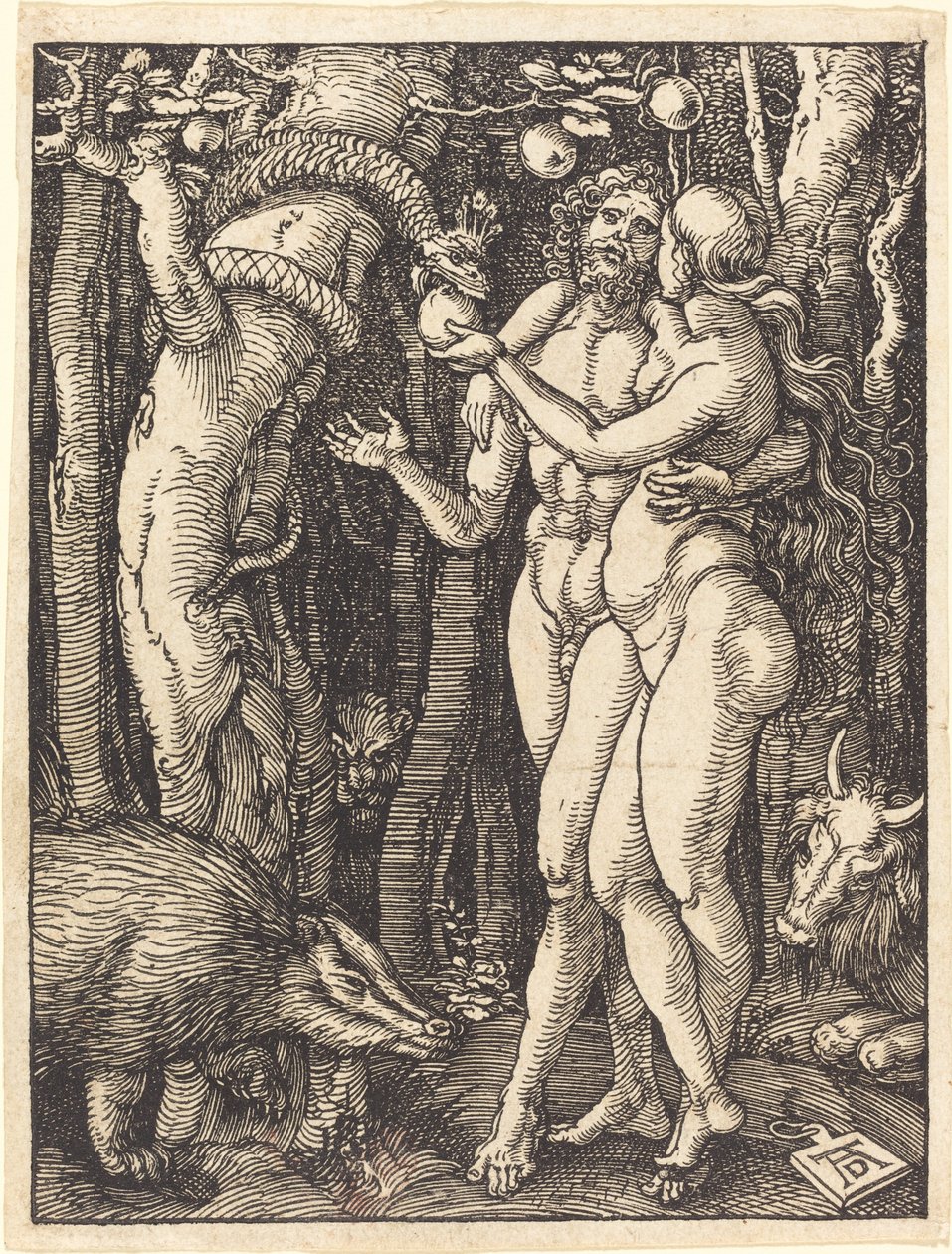 Pád člověka od Albrecht Dürer