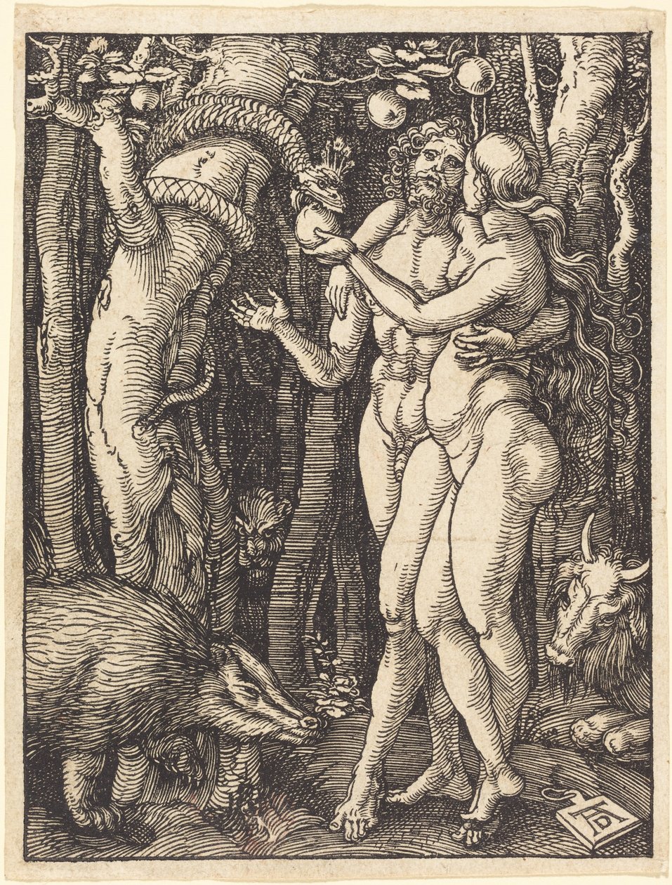 Pád člověka od Albrecht Dürer