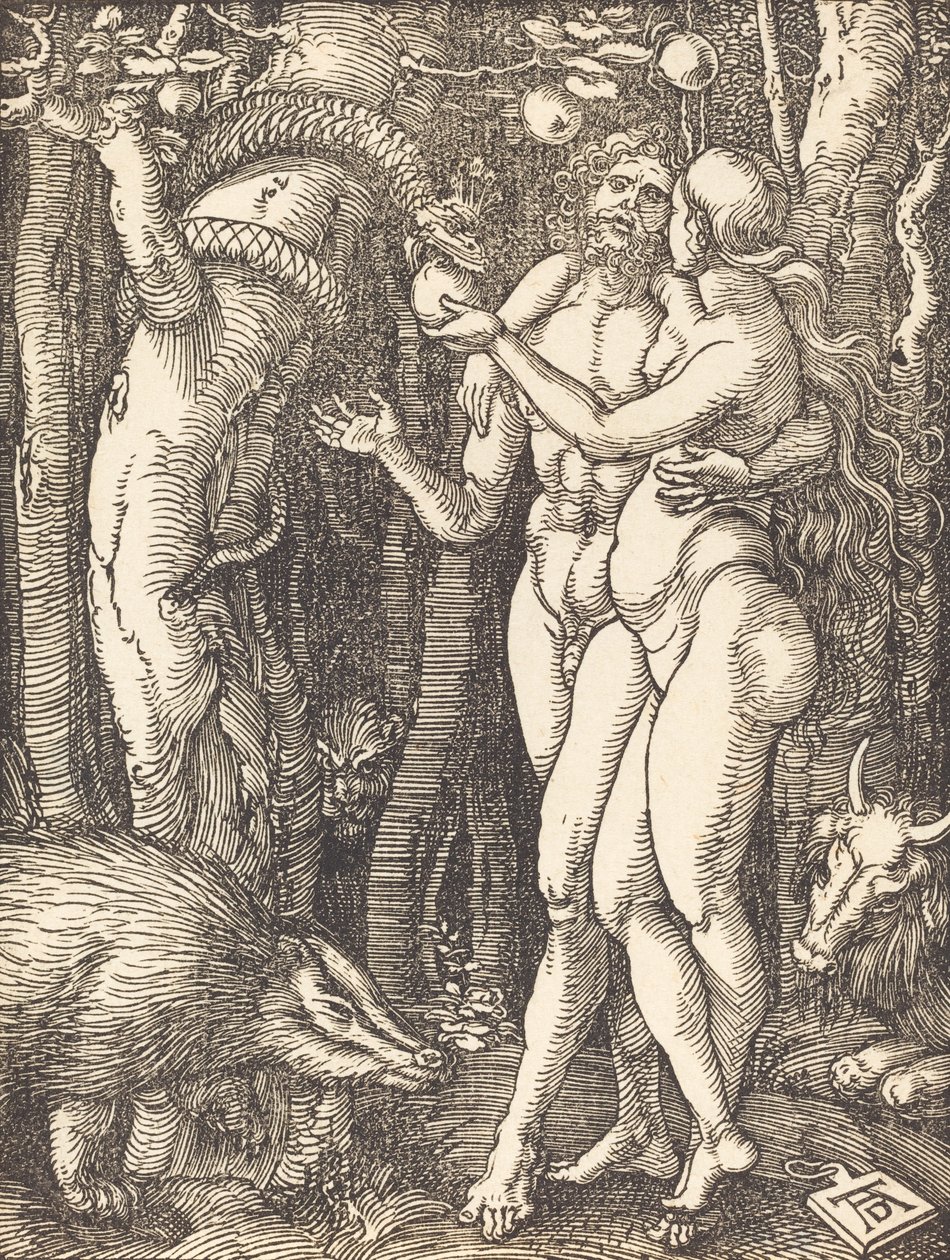 The Fall of Man, pravděpodobně c. 15091510. od Albrecht Dürer