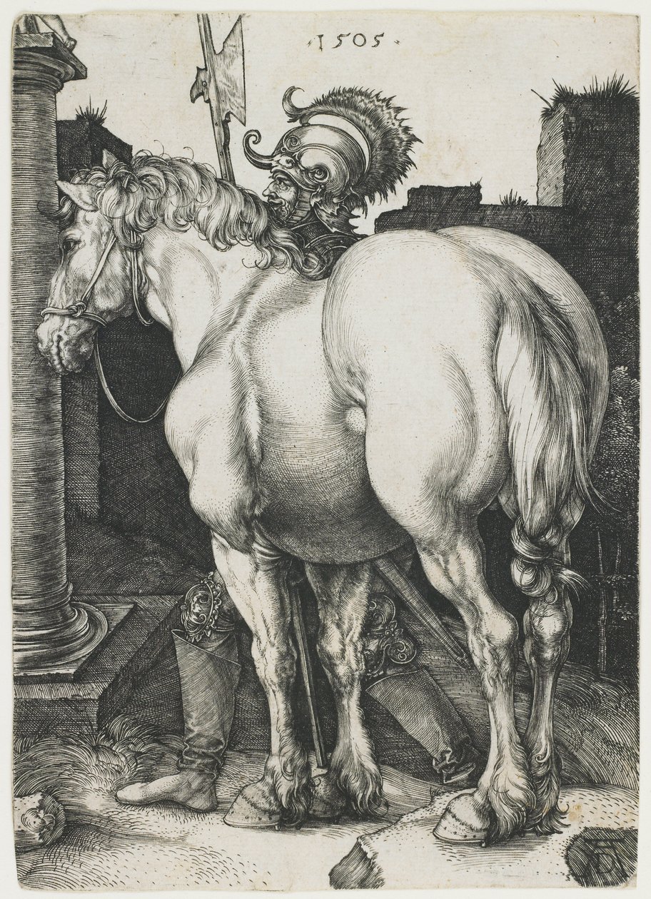 Velký kůň od Albrecht Dürer