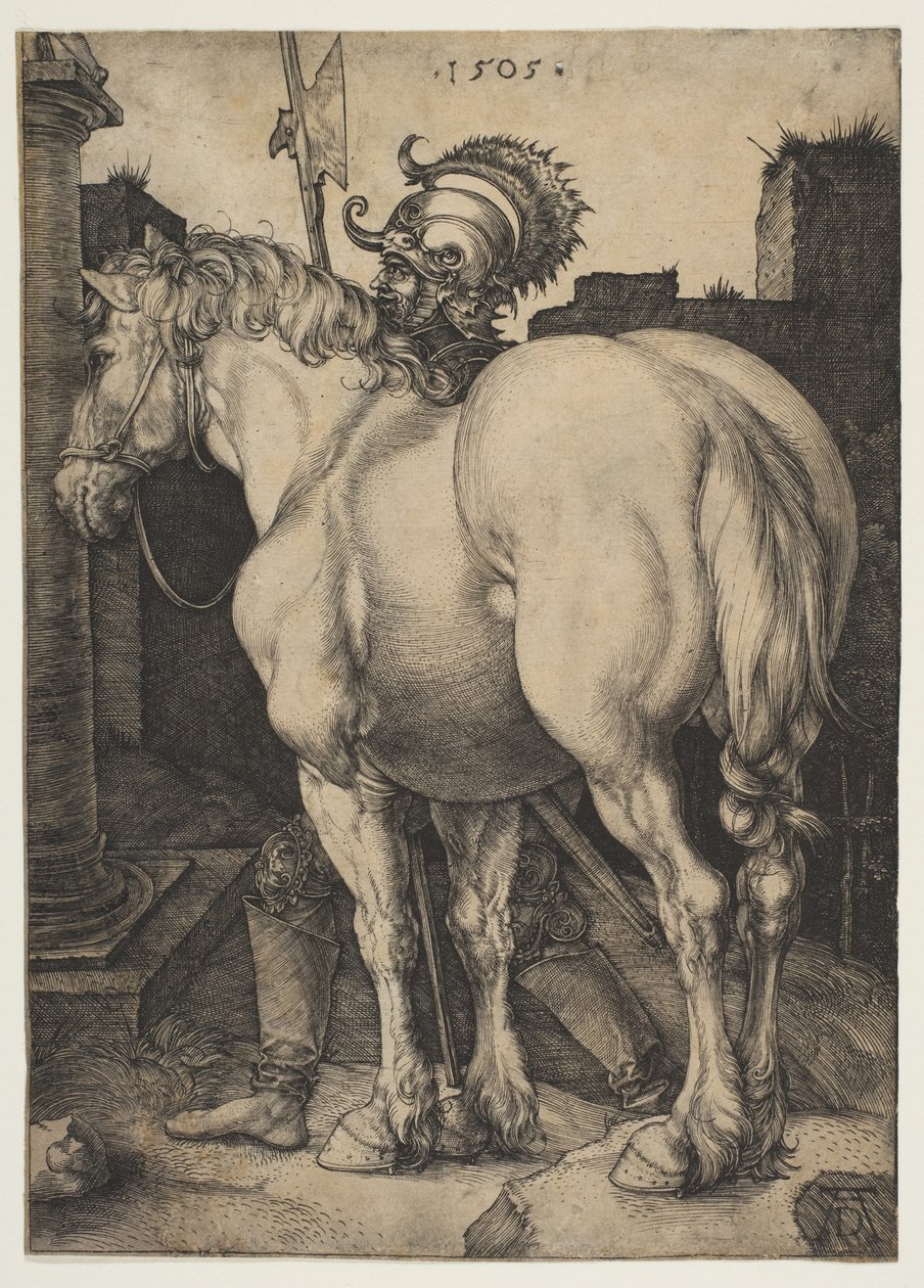 Velký kůň od Albrecht Dürer