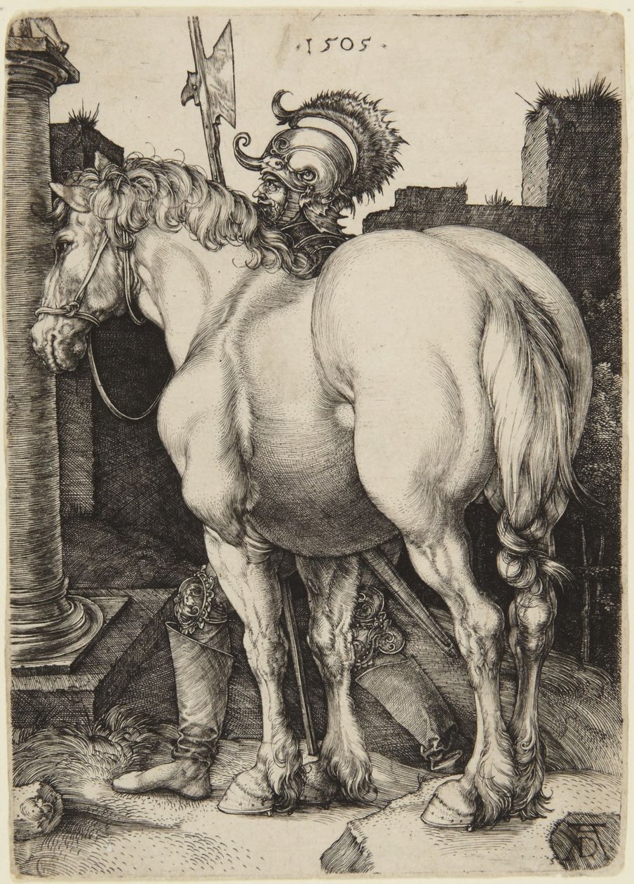 Velký kůň od Albrecht Dürer