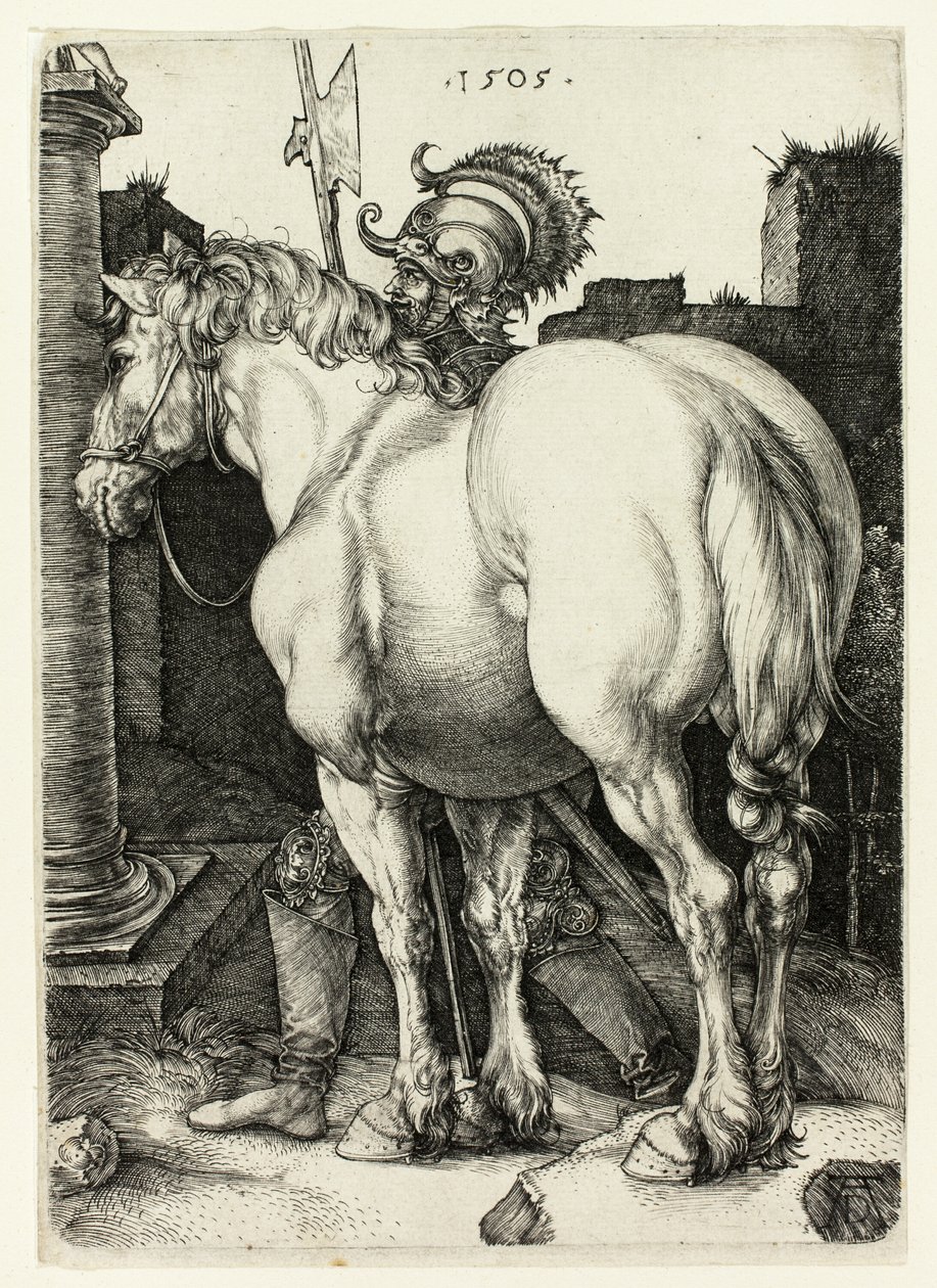 Velký kůň od Albrecht Dürer