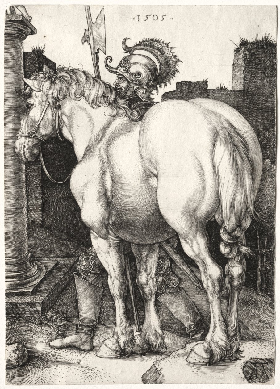 Velký kůň od Albrecht Dürer
