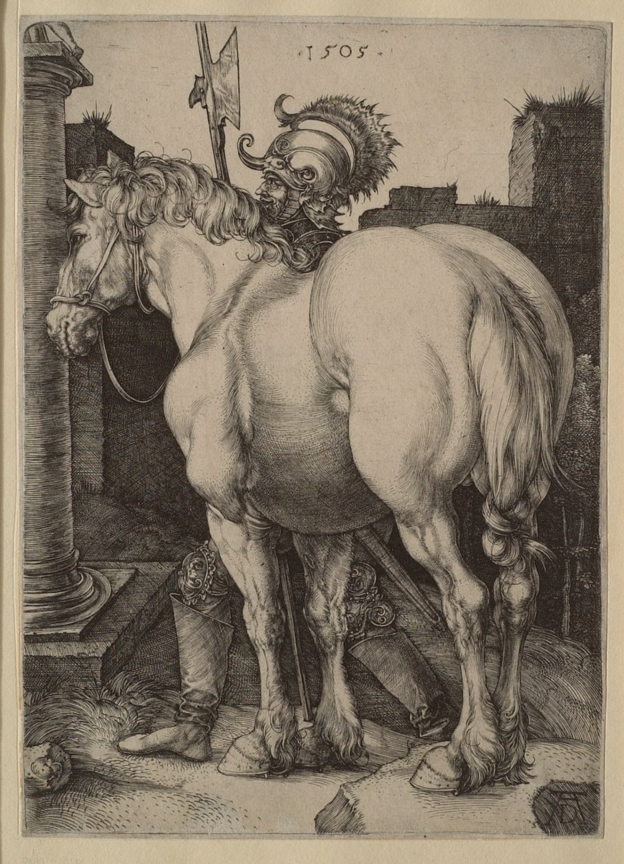 Velký kůň od Albrecht Dürer