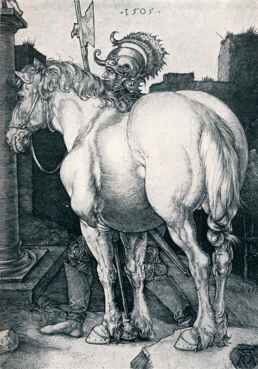 Velký kůň, 1505 1906 od Albrecht Dürer
