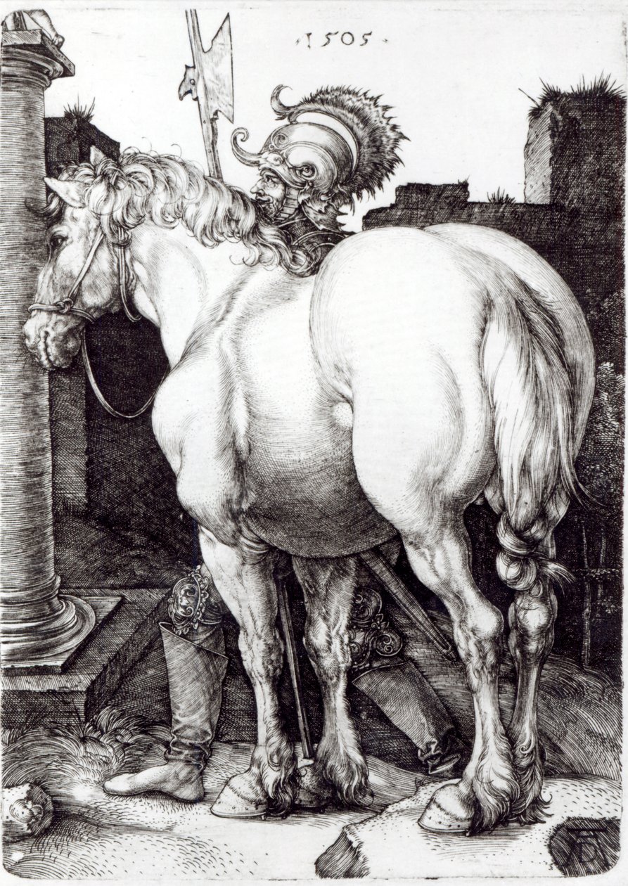 Velký kůň, 1509 od Albrecht Dürer