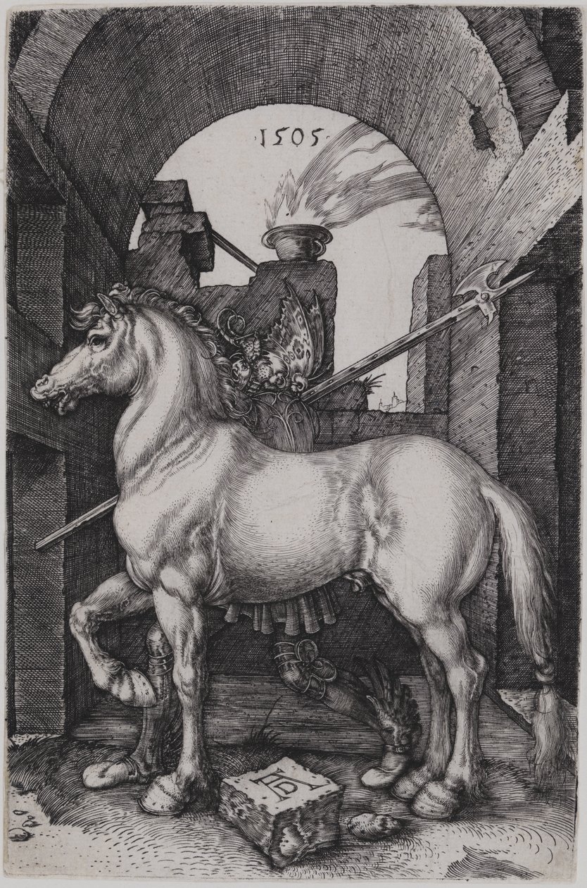 Malý kůň od Albrecht Dürer