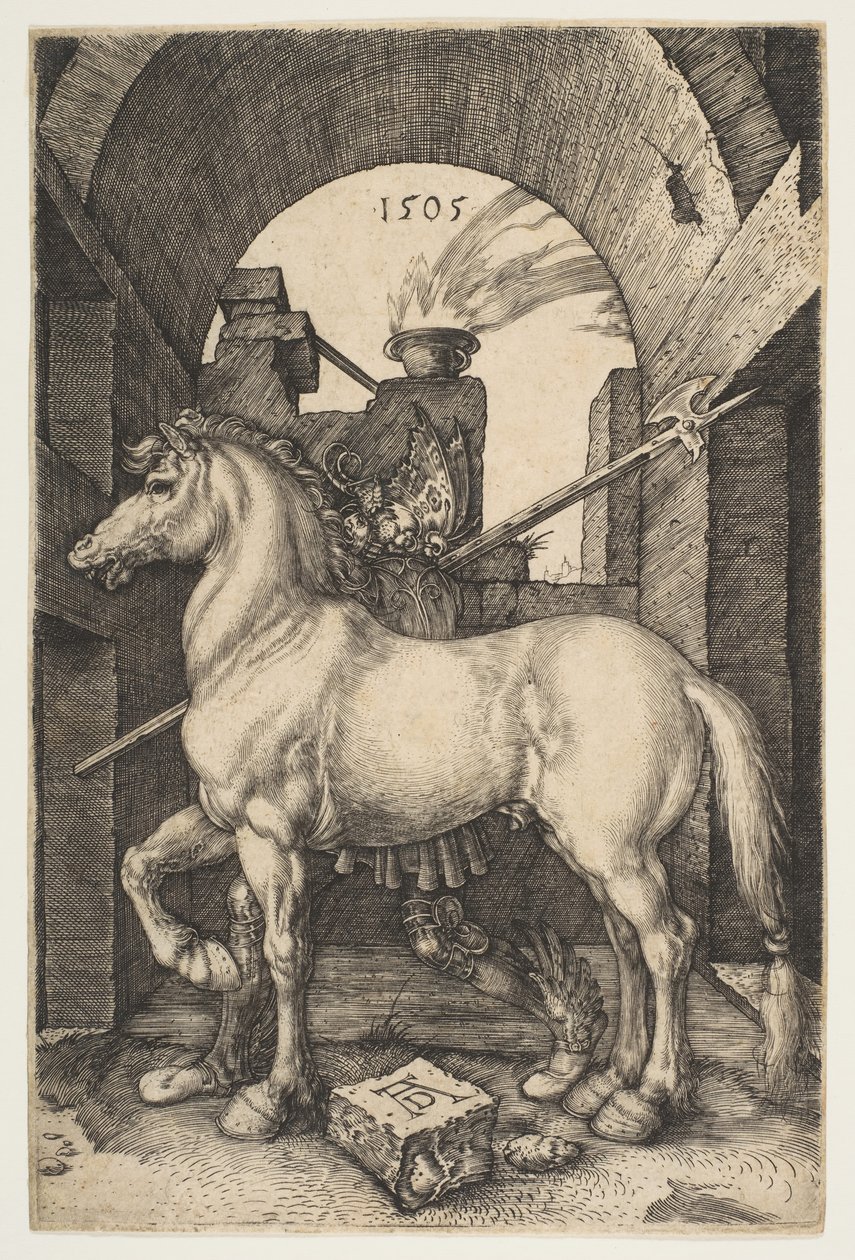 Malý kůň, 1505. od Albrecht Dürer