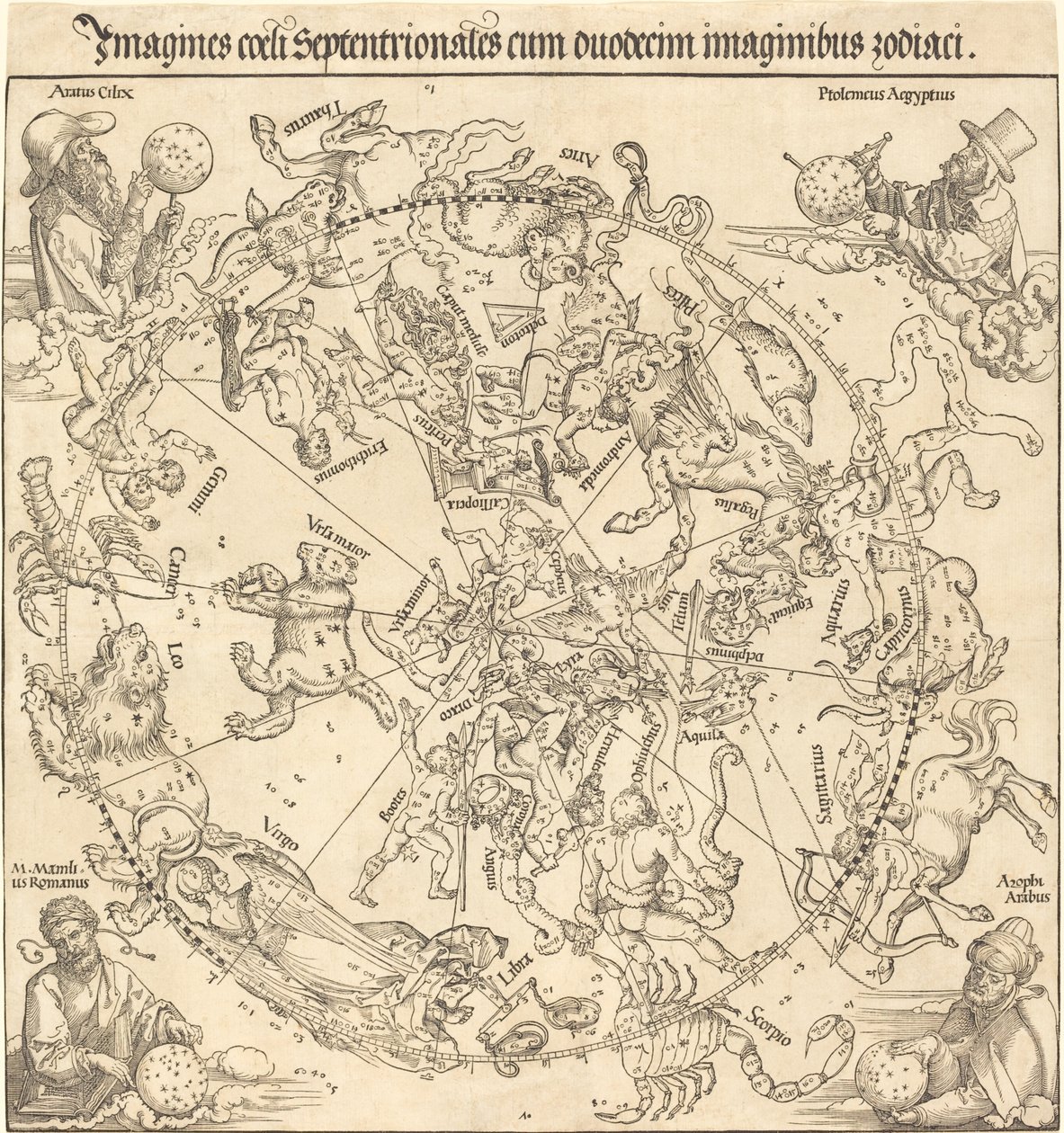 Severní nebeská polokoule od Albrecht Dürer