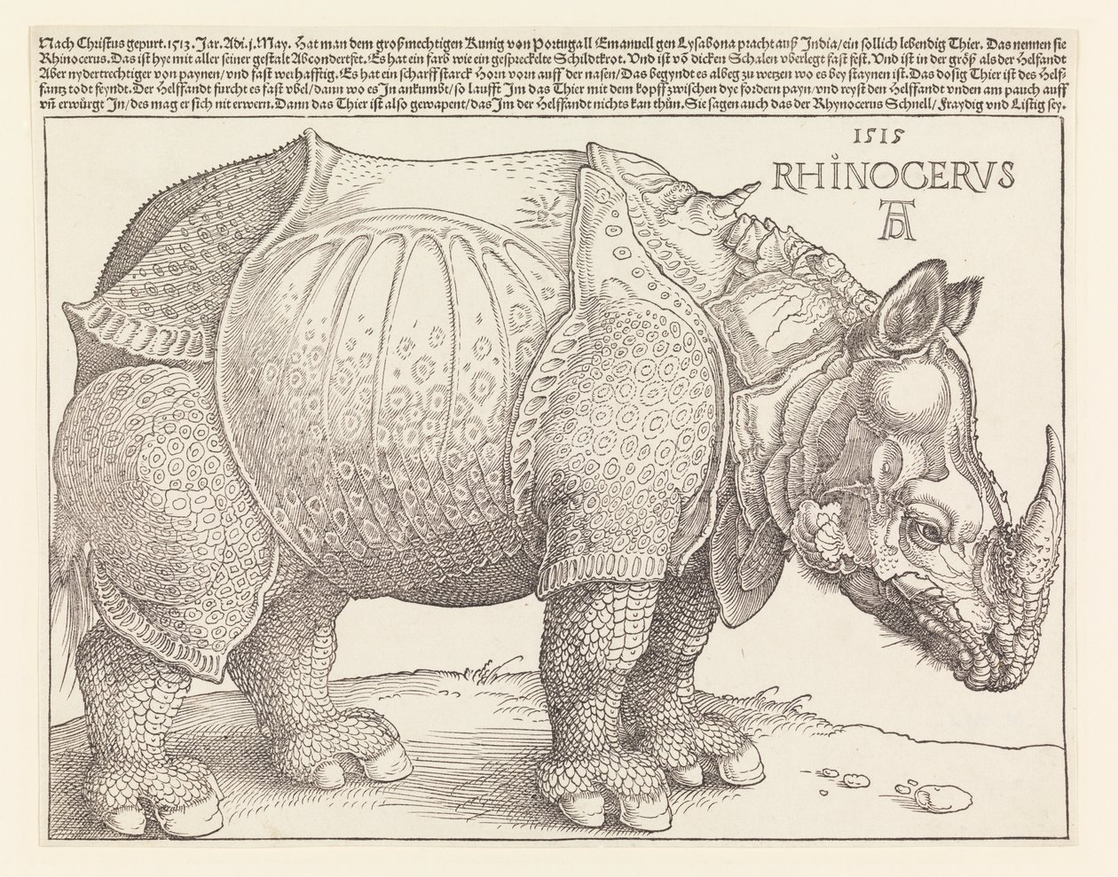 Nosorožec od Albrecht Dürer