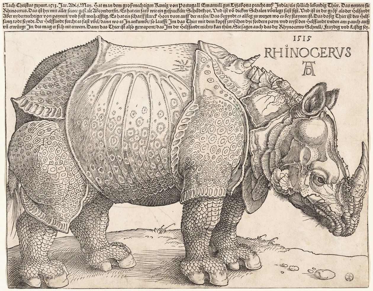 Nosorožec od Albrecht Dürer