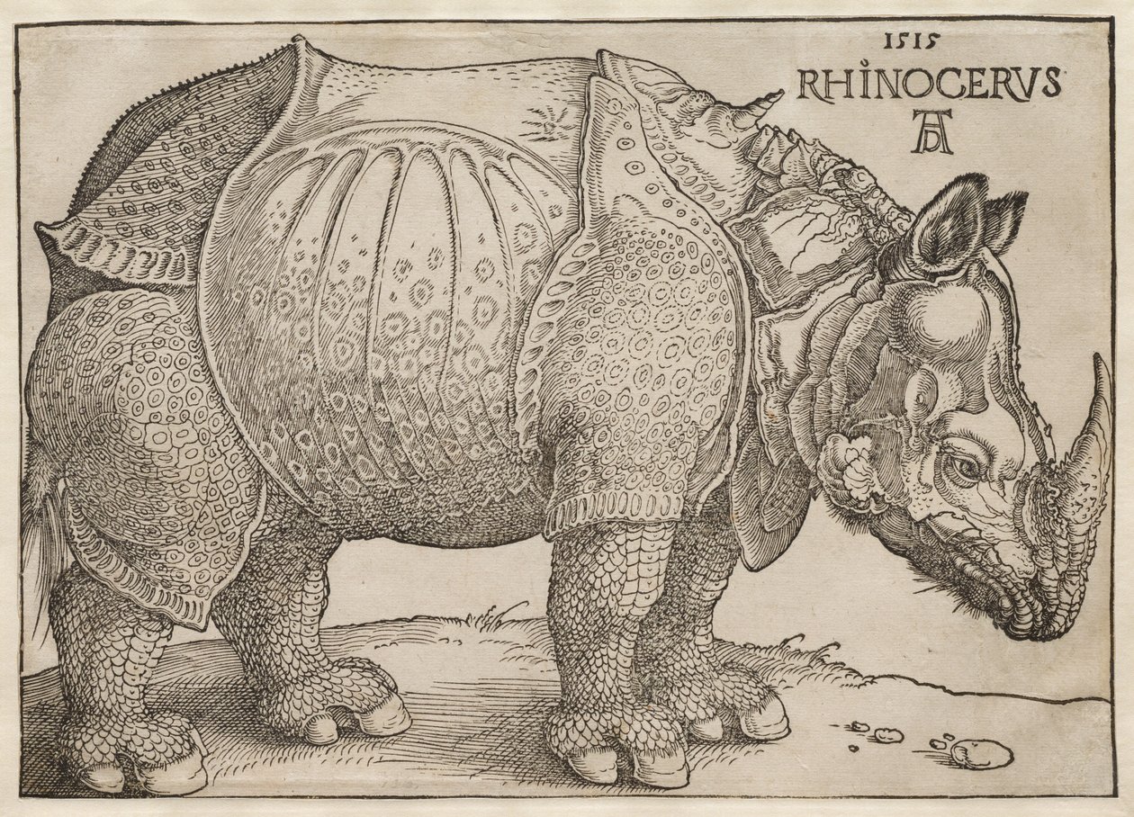 Nosorožec od Albrecht Dürer