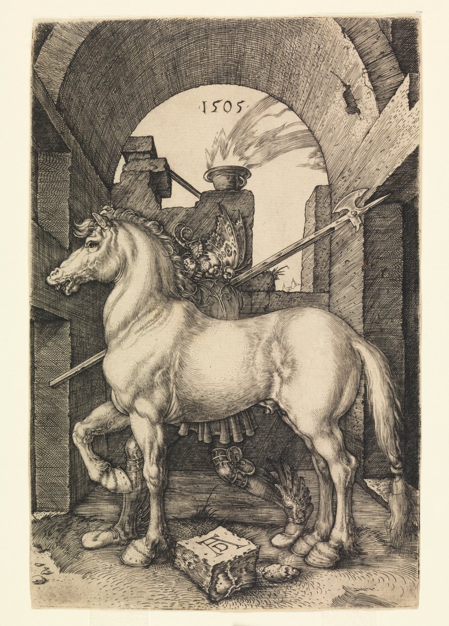 Malý kůň od Albrecht Dürer