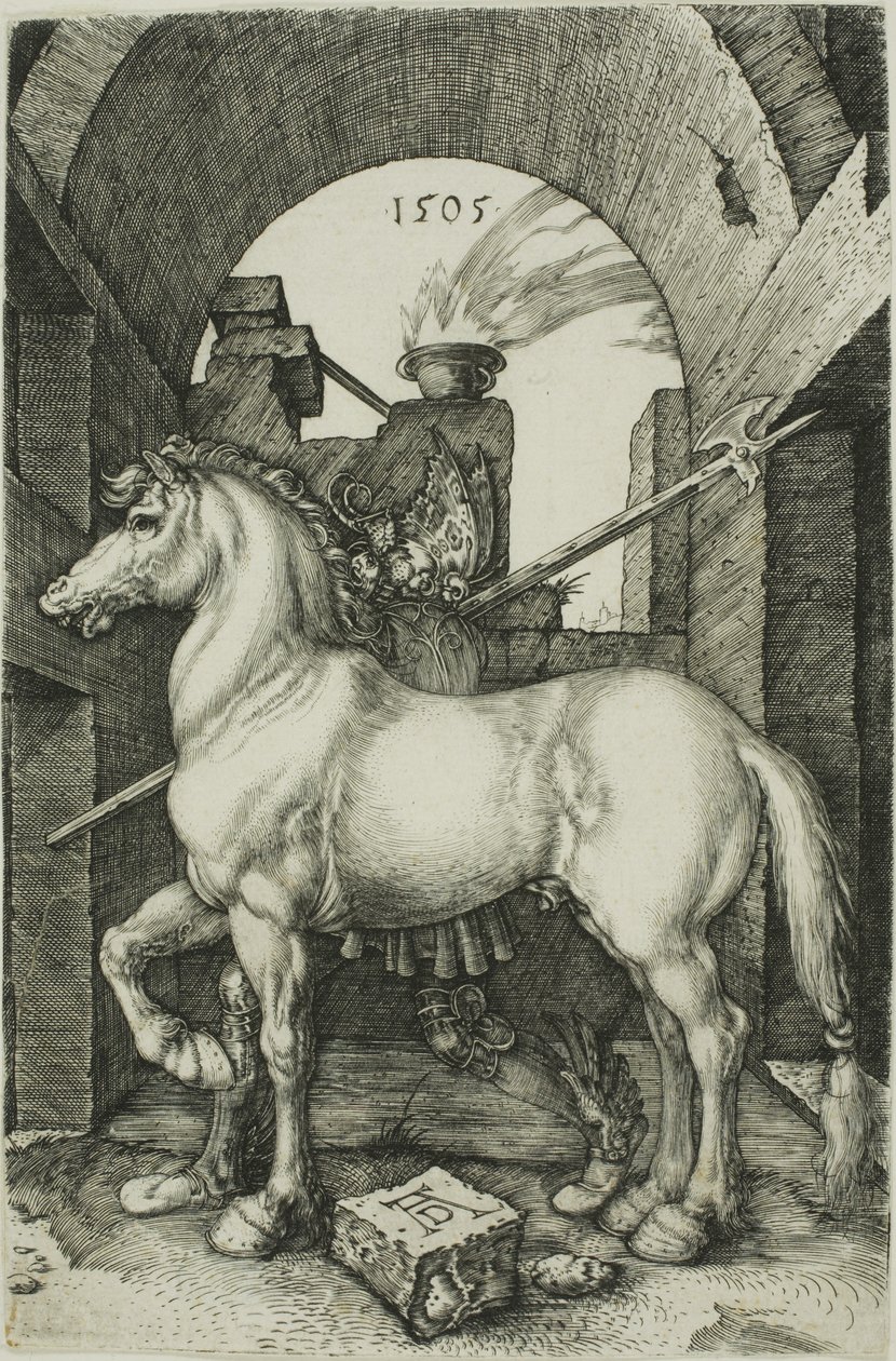 Malý kůň od Albrecht Dürer
