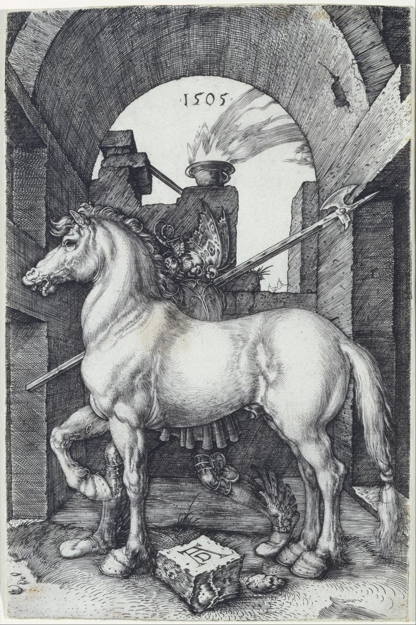 Malý kůň od Albrecht Dürer