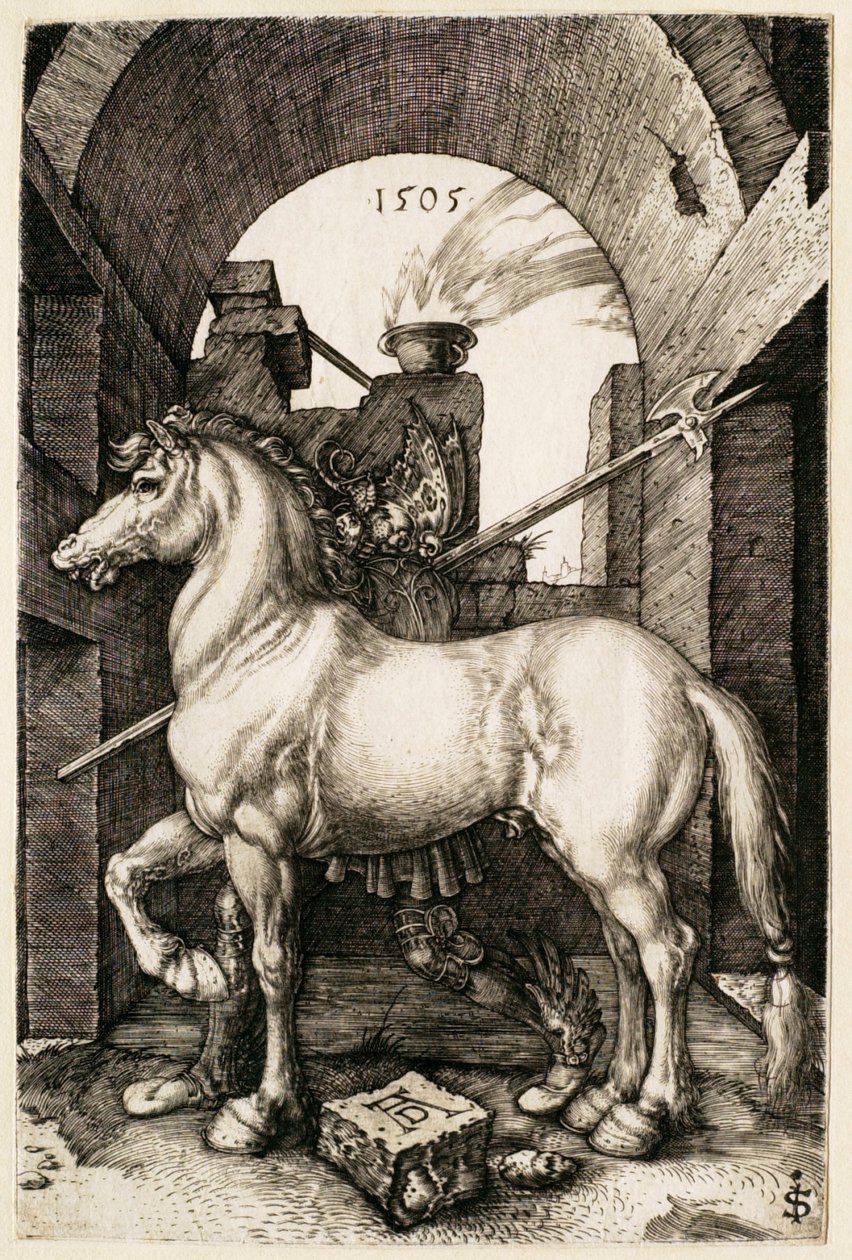 Malý kůň od Albrecht Dürer