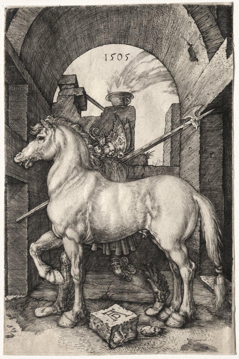 Malý kůň, 1505. od Albrecht Dürer