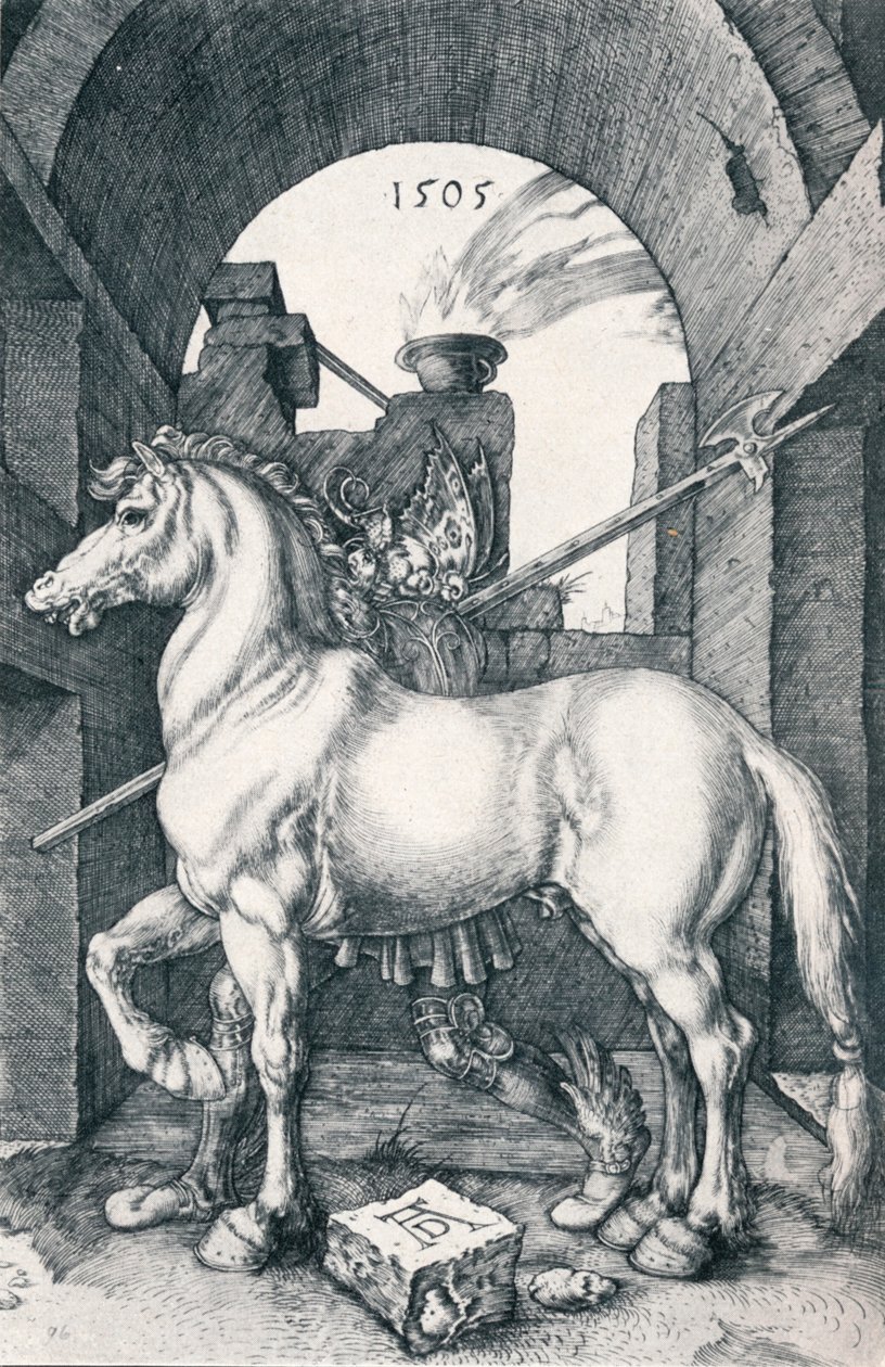 Malý kůň, 1505 1906 od Albrecht Dürer