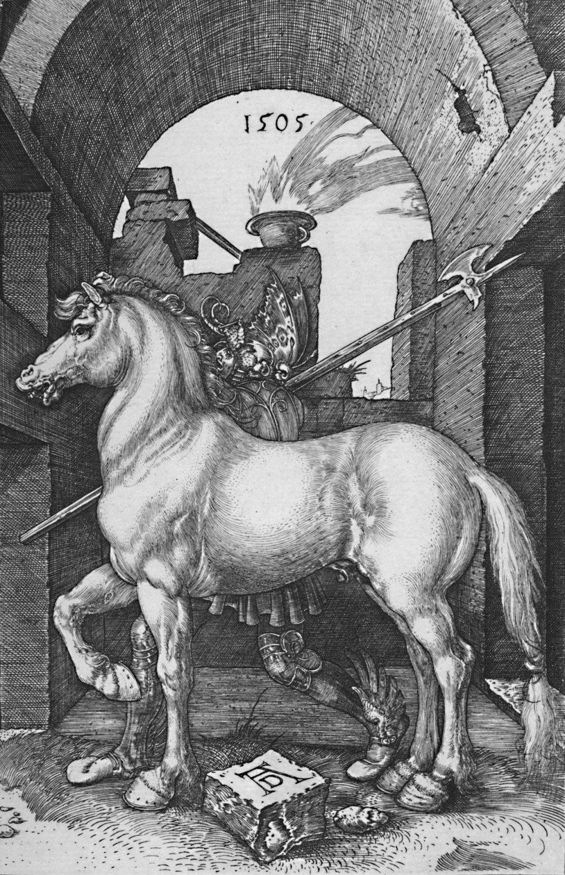 Malý kůň, 1505, 1906 od Albrecht Dürer