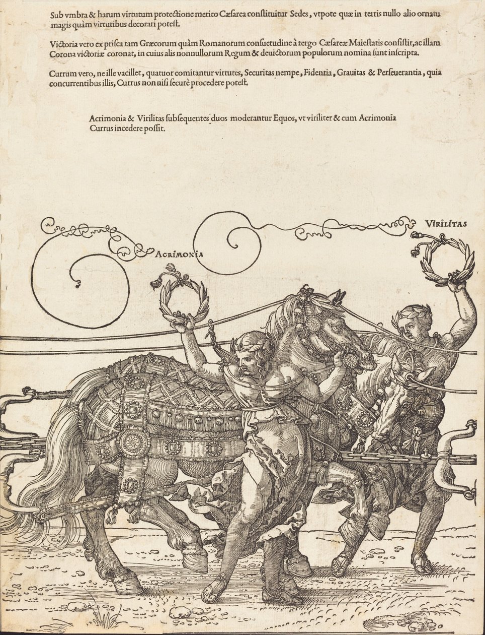 Triumfální vůz Maxmiliána I. Velký triumfální vůz [deska 6 z 8], 1523 latinské vyd. od Albrecht Dürer