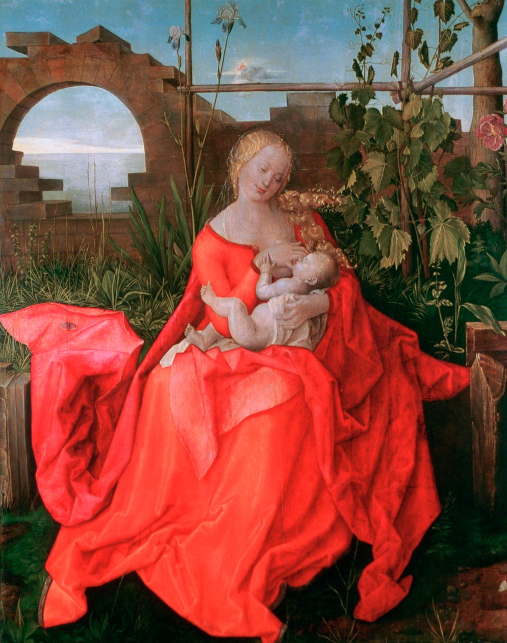 Panna a dítě, Madona s kosatcem, 1500-1510 od Albrecht Dürer