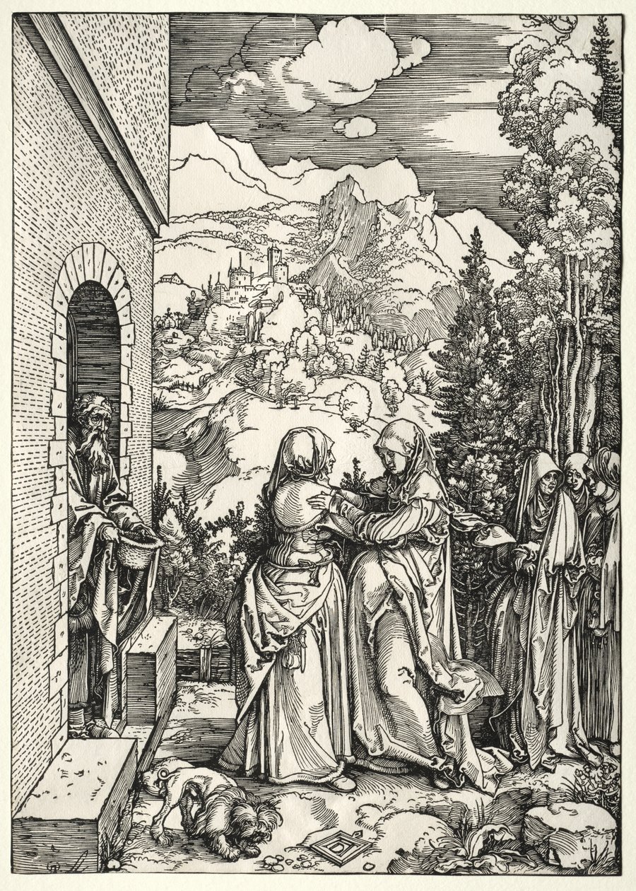 Návštěva od Albrecht Dürer