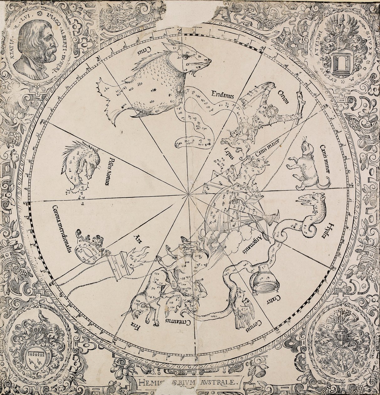 Chelestiální mapa jižní polokoule, počátek 16. století od Albrecht Dürer