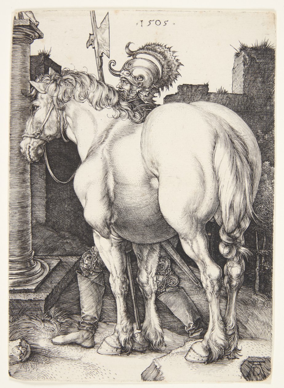 Velký kůň od Albrecht Dürer