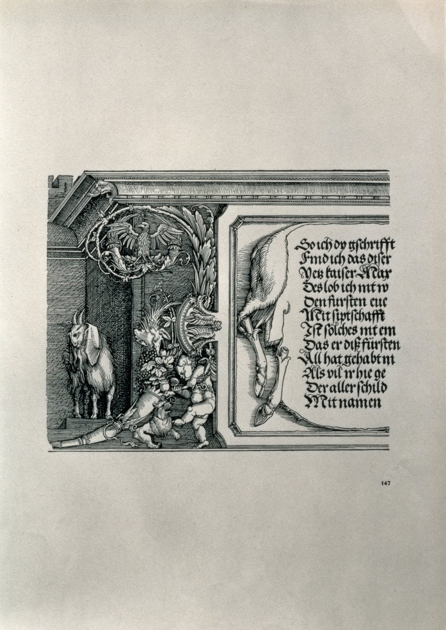 Triumfální oblouk německého císaře Maxmiliána I. 1459-1519: detail jelení kůže s nápisem chválícím rodinné vazby císařů, s kozou s plstnatýma ušima, symbolem ostrého slyšení všech od Albrecht Dürer