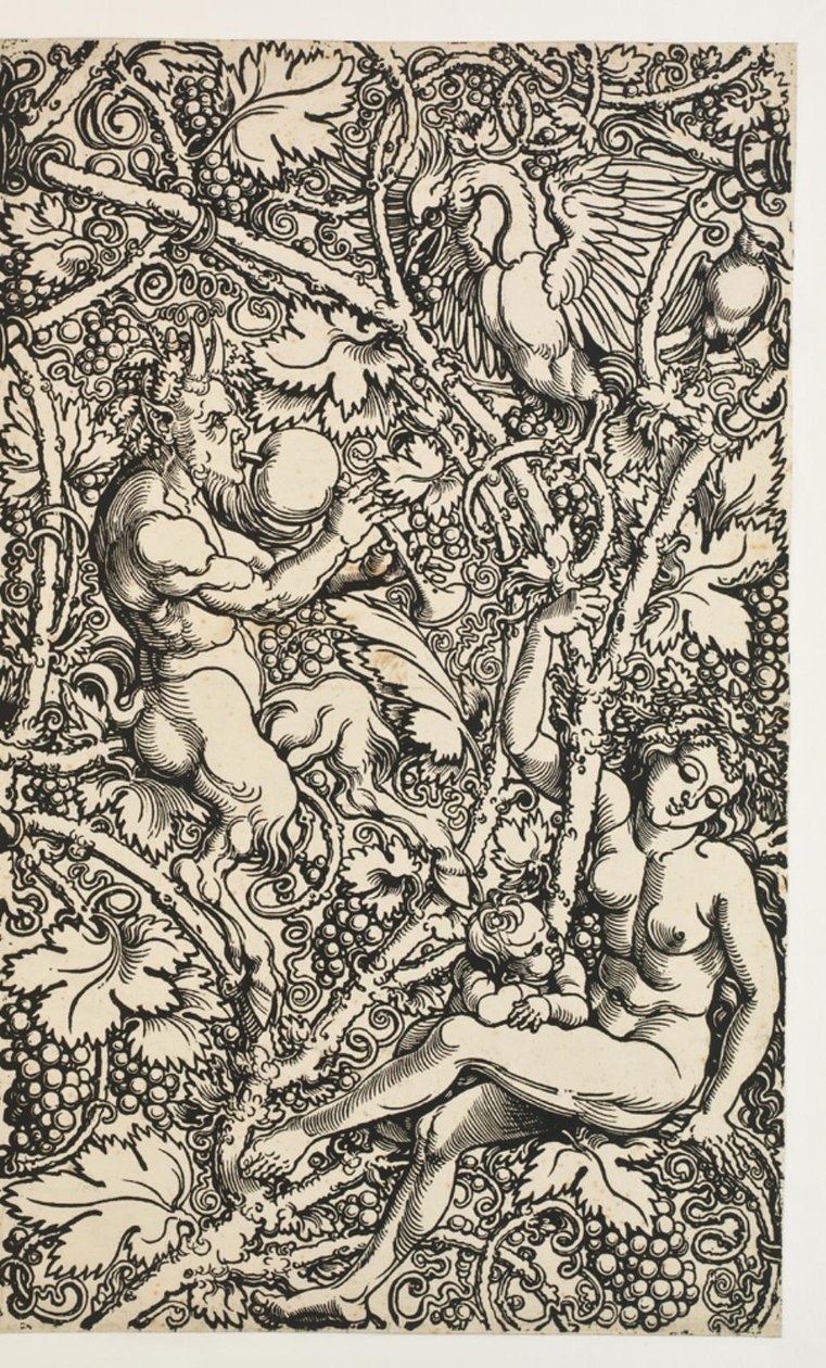 Dva návrhy pro gobelín se satyrfamily od Albrecht Dürer