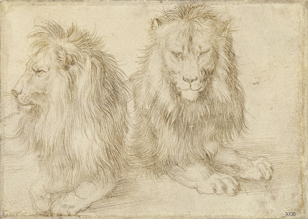 Dva sedící lvi, 1521 od Albrecht Dürer