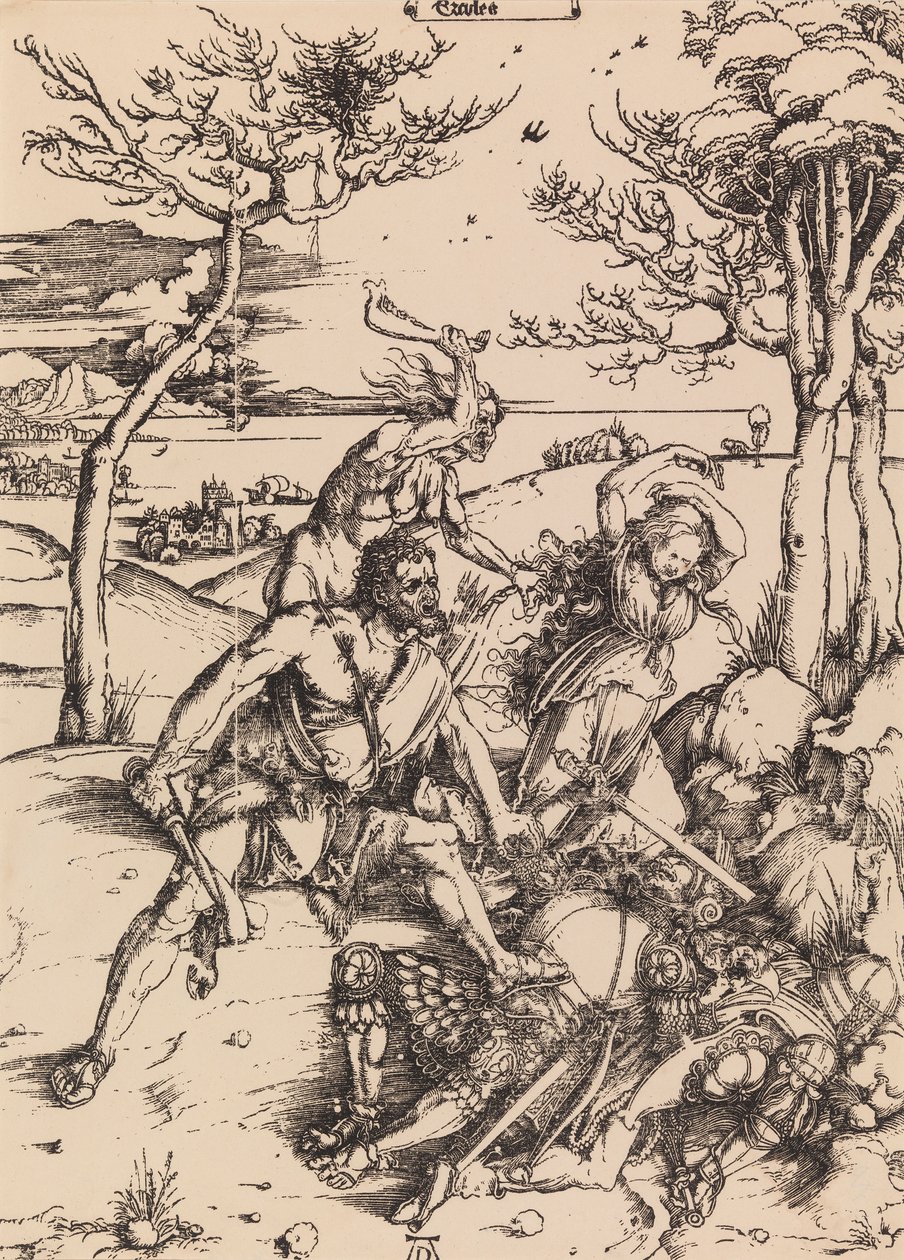 Bez názvu od Albrecht Dürer