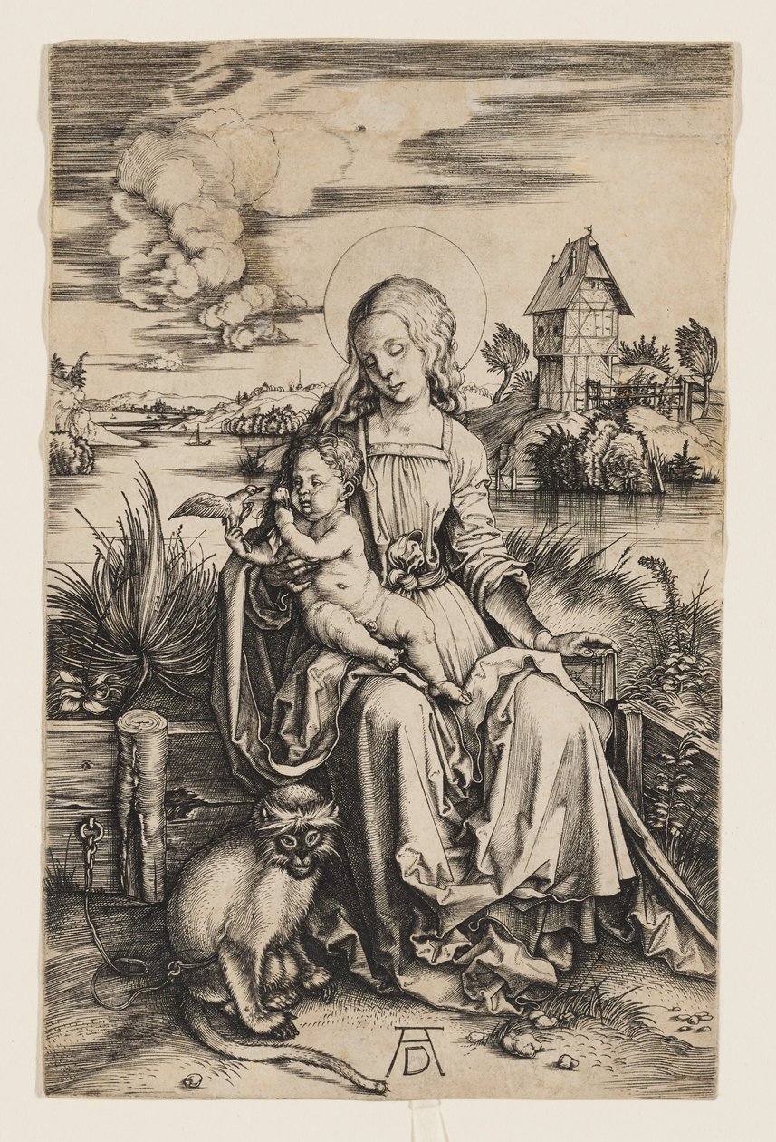 Panna Marie s dítětem a opicí od Albrecht Dürer