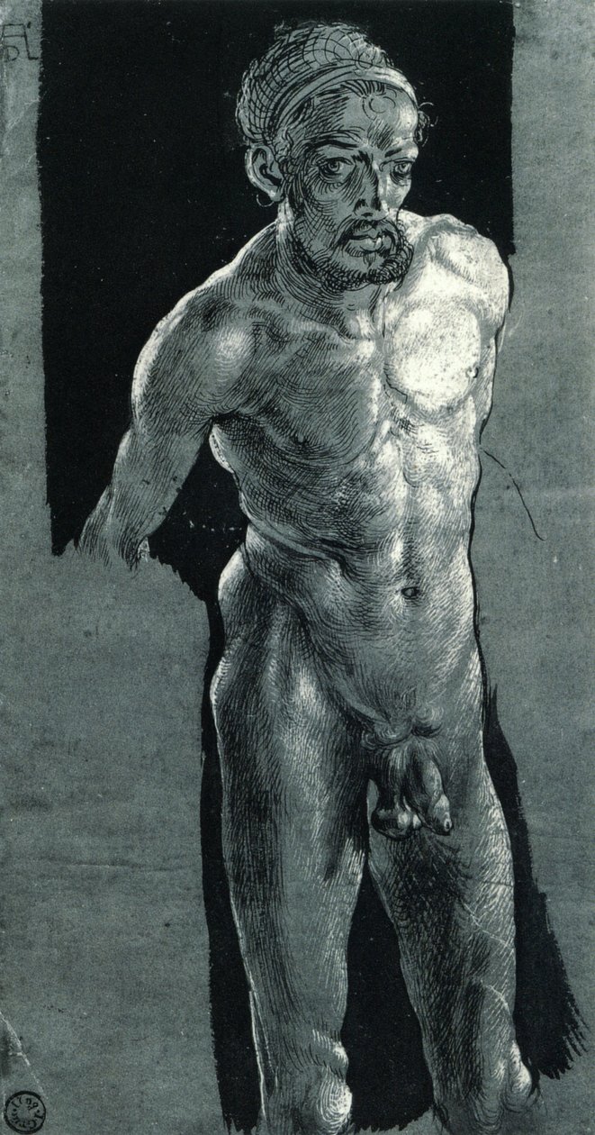 autoportrét v aktu od Albrecht Dürer