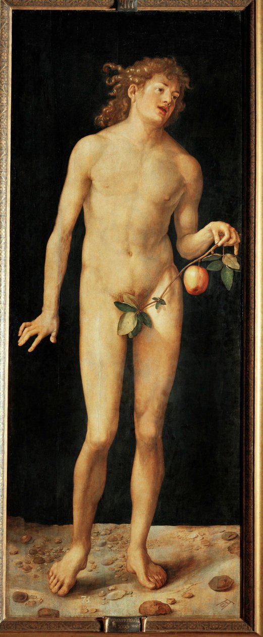 Adam od Albrecht Dürer or Duerer