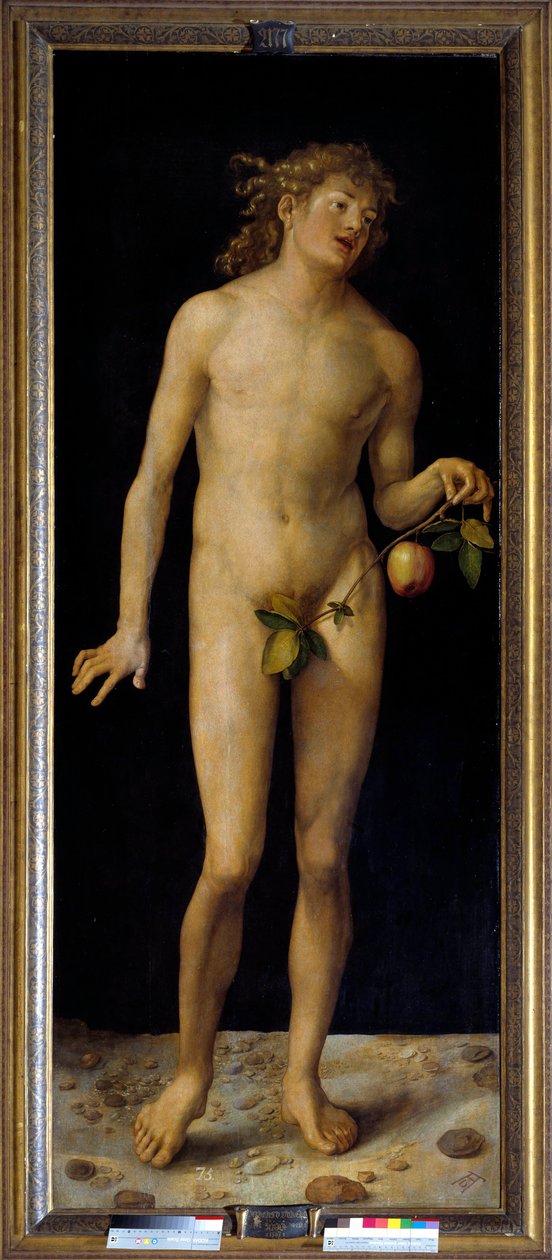 Závěsný od Albrecht Dürer