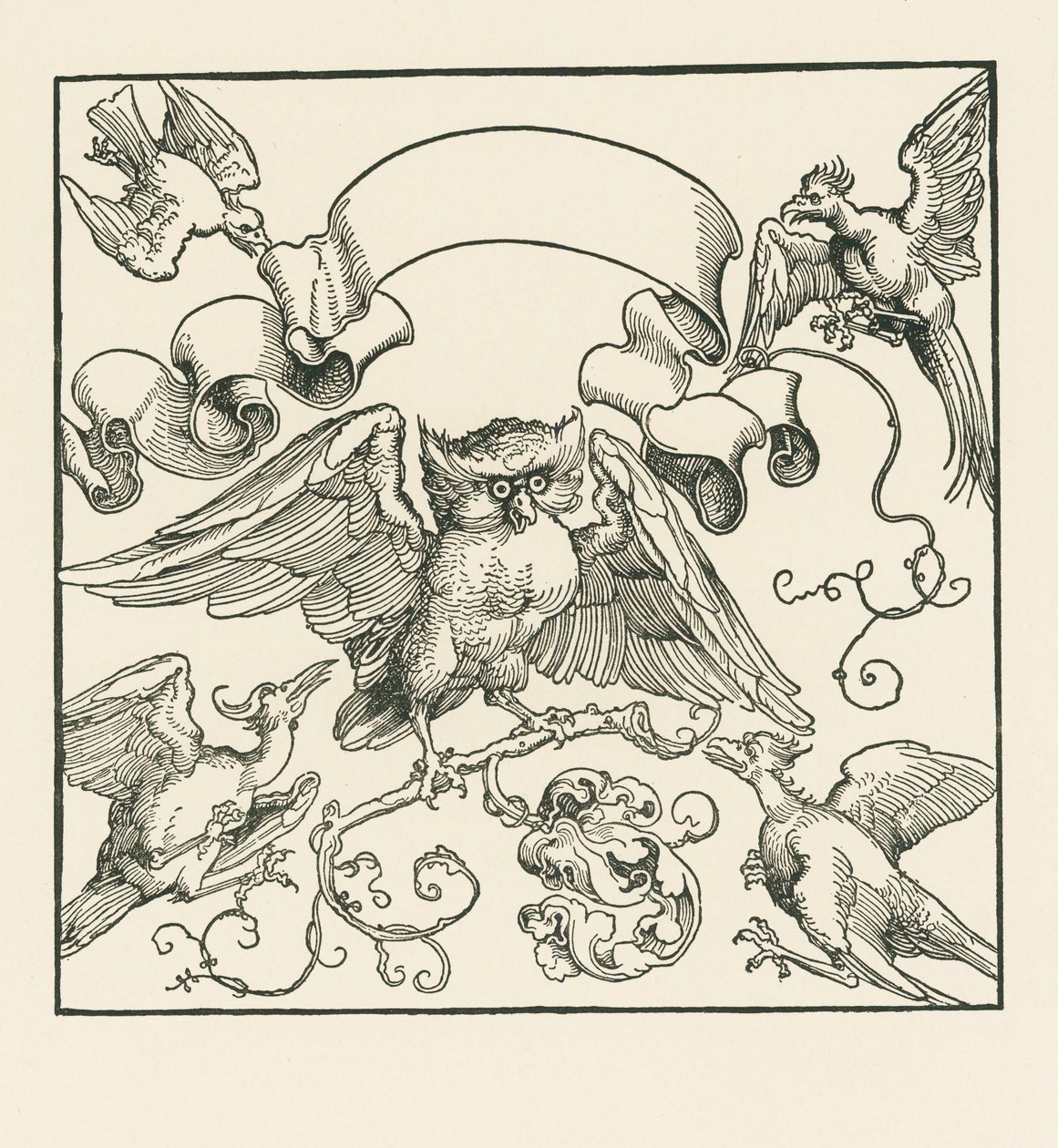 Sova napadená čtyřmi dalšími ptáky, asi 1515 (dřevoryt) od Albrecht Dürer or Duerer