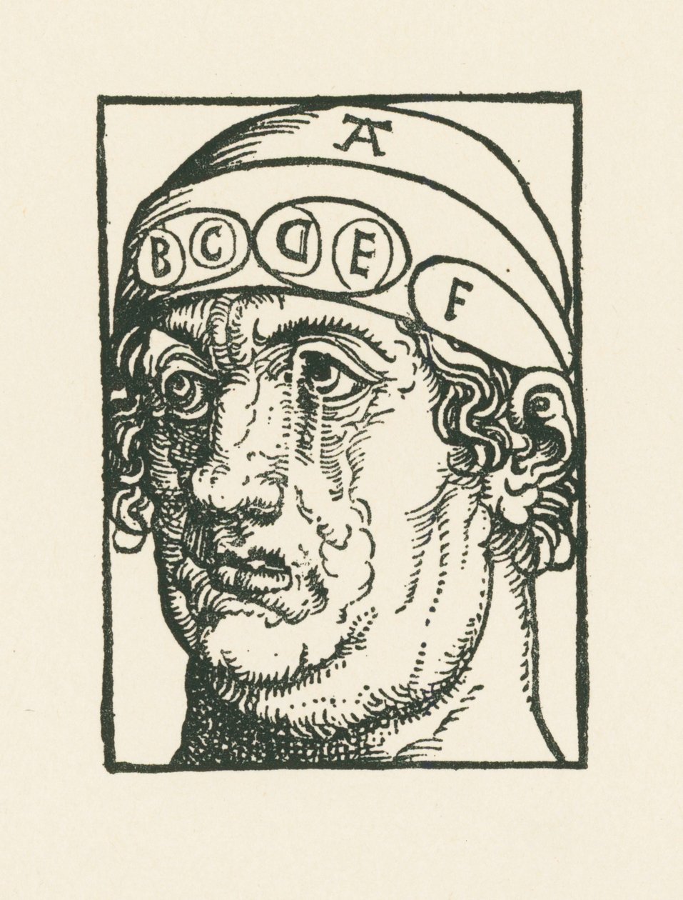 Caput pysicum - Hlava pro účely studia frenologie od Albrecht Dürer or Duerer