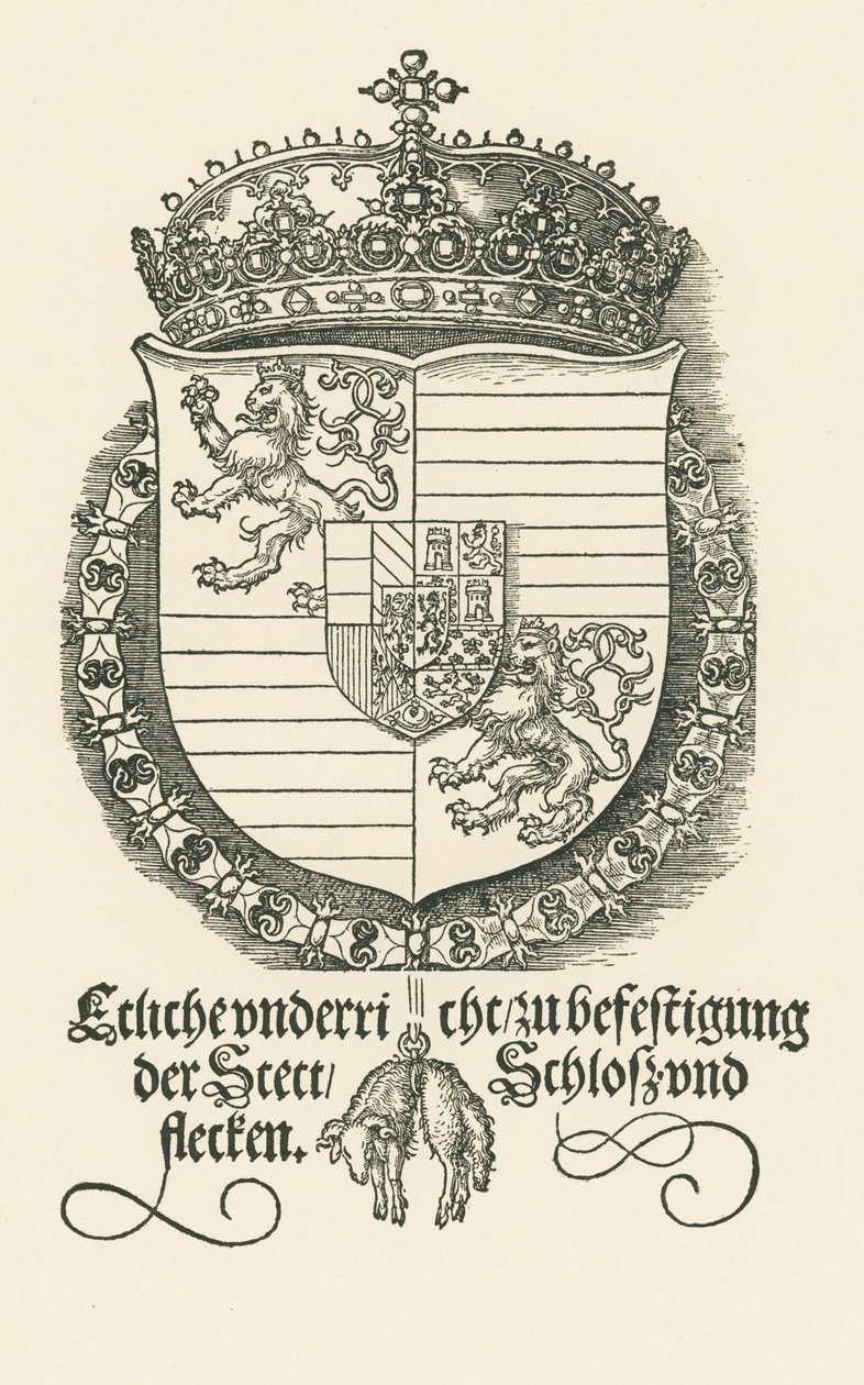 Erb Ferdinanda I., českého a uherského krále od Albrecht Dürer or Duerer