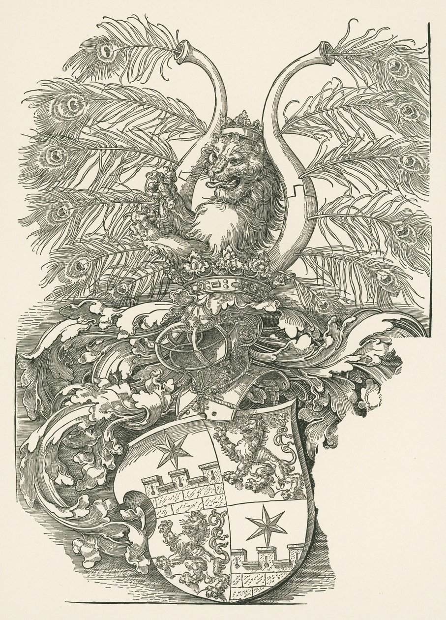 Erb města Roggendorf od Albrecht Dürer or Duerer