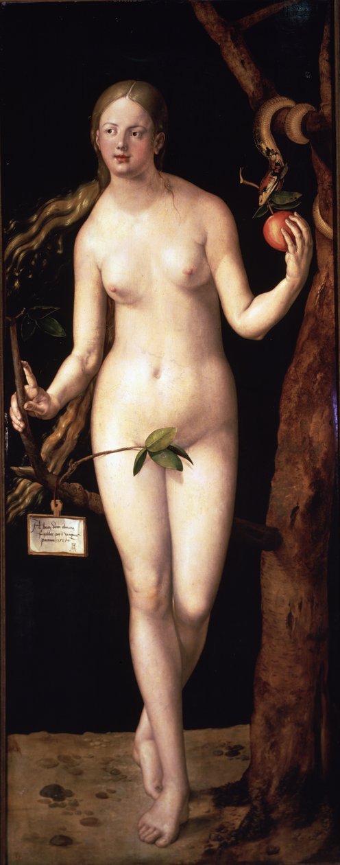  od Albrecht Dürer or Duerer