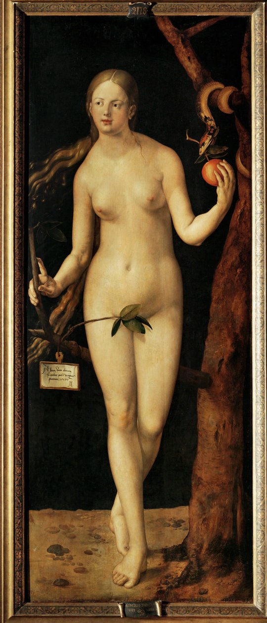 Eva od Albrecht Dürer or Duerer