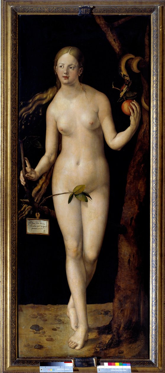 Závěsný od Albrecht Dürer