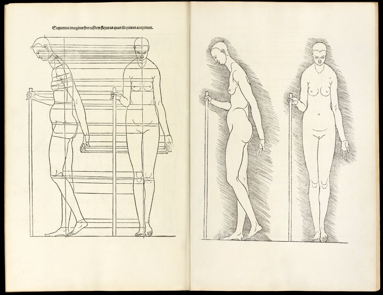 Žena s holí, anatomický dřevoryt z Hierinn sind begriffen vier bücher von menschlicher Proportion, 1528 od Albrecht Dürer